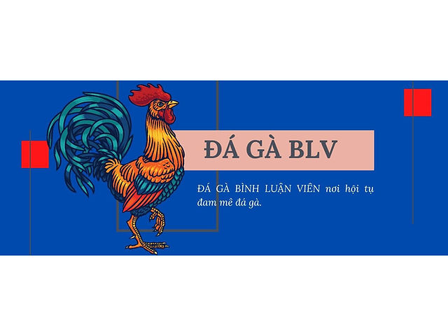 Bình luận viên và vai trò của họ trong các trận đấu đá gà